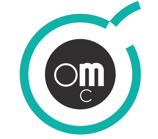 Logo Openmind Consultats